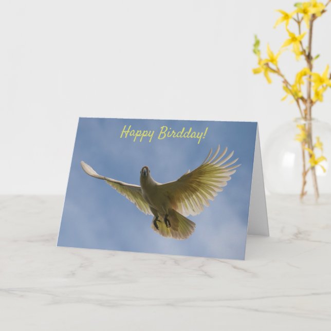 Happy Bird Day Birthday Cockatoo Flying Australia Card (Yellow Flower)