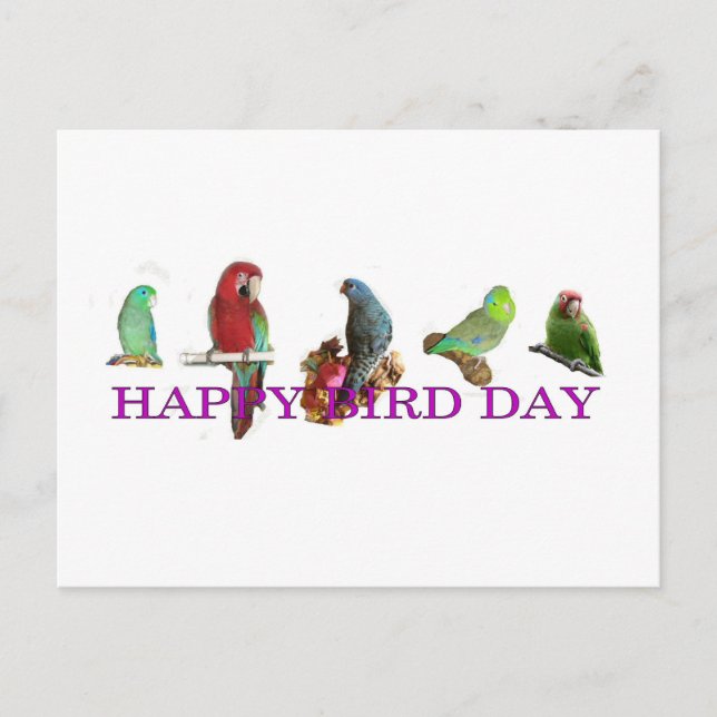 Happy Bird Day Postcard (Front)