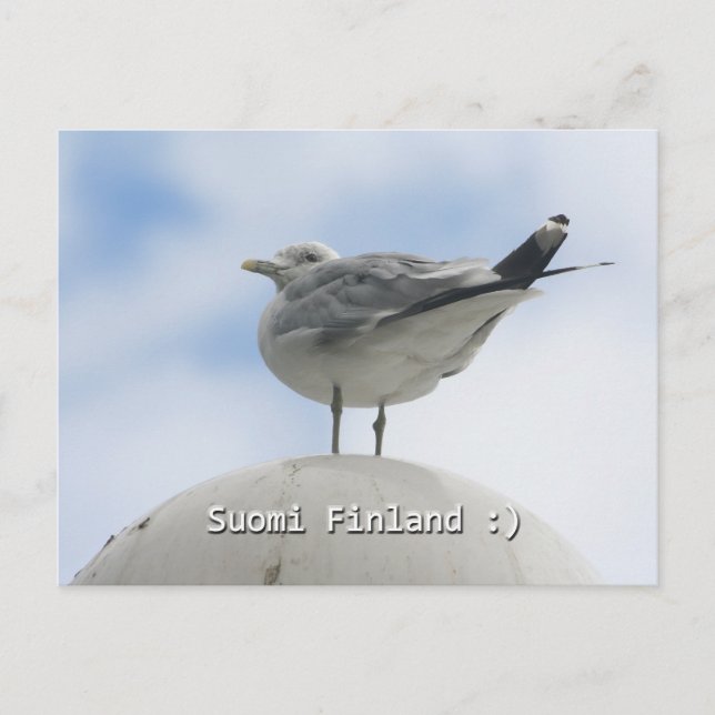 Happy Bird Postcard (Front)