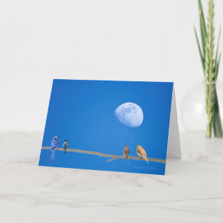 Happy BirdDay-- birds on the wire. Card