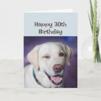 Happy Birthday 30th again Winking Dog Humour