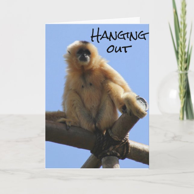 HAPPY BIRTHDAY**40th BIRTHDAY** JUST HANGING OUT! Card (Front)