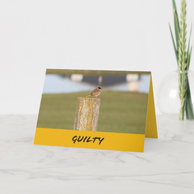 Happy Birthday A Bird Told Me It is your birthday Card (Front)