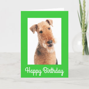 Happy Birthday Airedale Terrier Dog Greeting Card