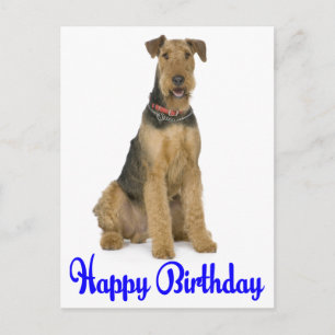 Happy Birthday Airedale Terrier Puppy Dog Blue Postcard