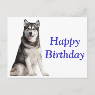 Happy Birthday Alaskan Malamute Puppy Dog Card