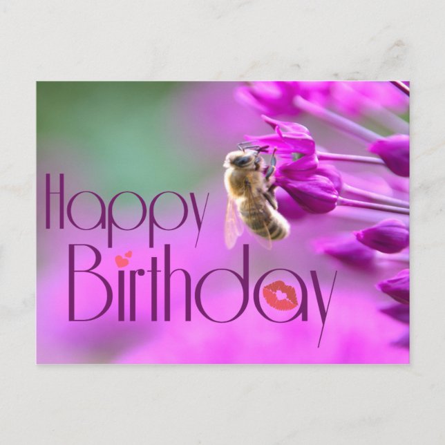 Happy Birthday! - Alles Gute zum Geburtstag! Postcard (Front)