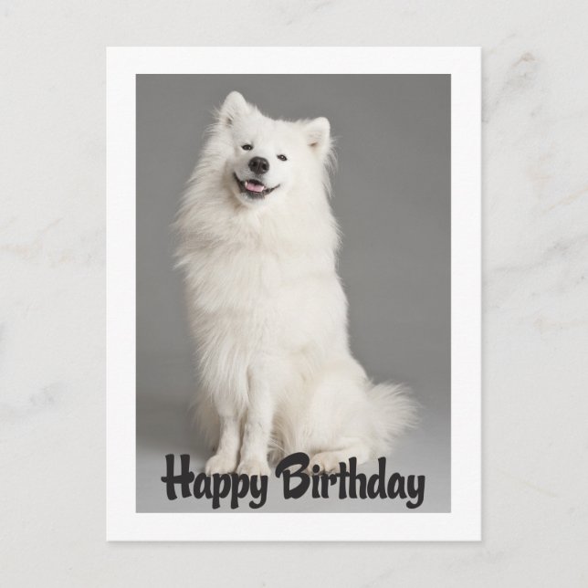 Happy Birthday American Eskimo Puppy Dog Postcard (Front)