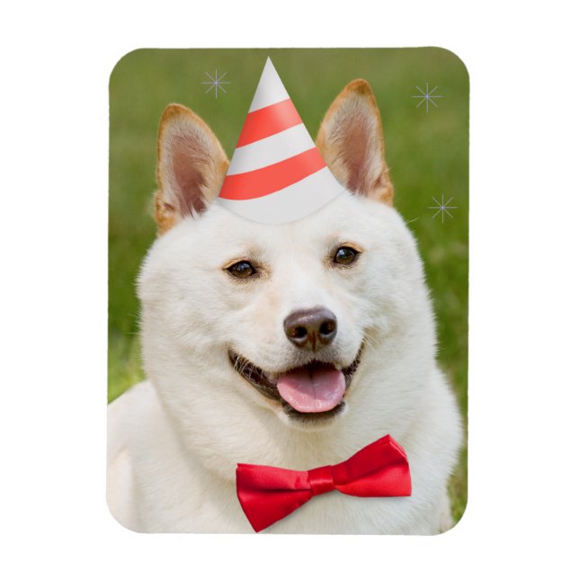 Happy Birthday Anyone Shiba Inu Dog In Party Hat Magnet (Vertical)