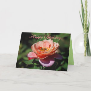 Happy Birthday Apricot & Lavender Rose Honeybee Card