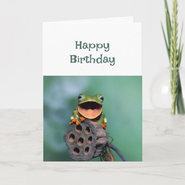  Happy Birthday Awesome Person You Are Fun Frog Card (Front)