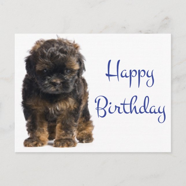 Happy Birthday Baby Havanese Puppy Dog Postcard (Front)