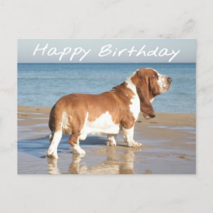 Happy Birthday Basset Hound Puppy Dog Post Card