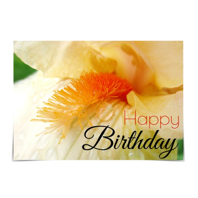 "Happy Birthday" Bearded Iris Card (Creator Uploaded)