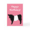 Happy Birthday Beltie Belted Galloway Steer Cattle