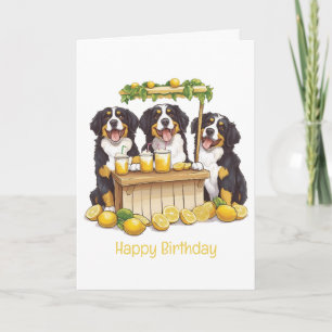 Happy Birthday Bernese Mountain Dog Lemonade Stand Card