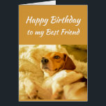 Happy Birthday Best Friend Funny Animals<br><div class="desc">Happy Birthday Best Friend Funny Animals.  Friendship Fun and laughter   Birthdays kind of sneak up on you.</div>