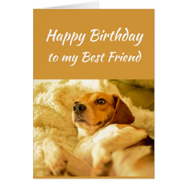 Happy Birthday Best Friend Funny Animals (Front)