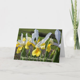 Happy Birthday Best Friend Greeting Cards Flowers