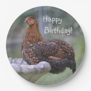 Happy Birthday Birdbath Chicken Paper Plate
