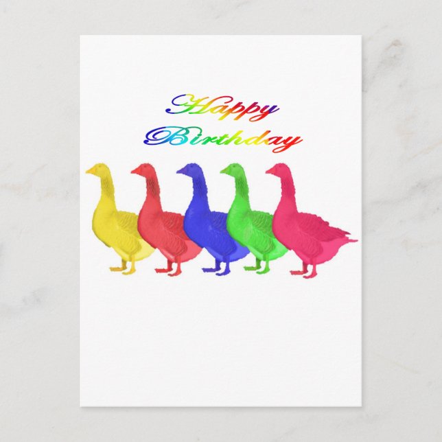 Happy Birthday Birthday Geese Postcard (Front)