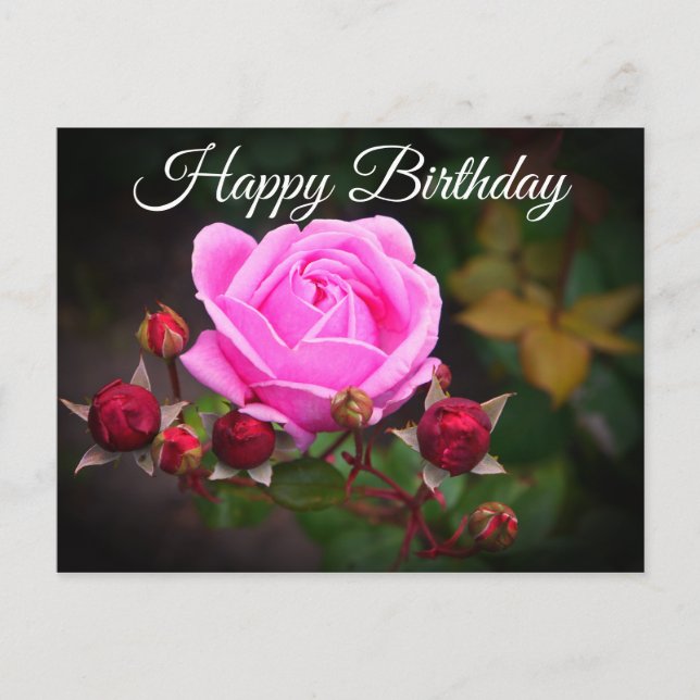 Happy Birthday Bishop’s Castle Rose #1 Postcard (Front)