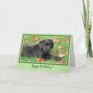 Happy Birthday Black Lab - Autumn Labrador Puppy Card