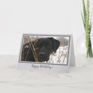 Happy Birthday Black Lab - Gray Duck Hunting Dog Card