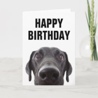 Happy Birthday | Black Labrador
