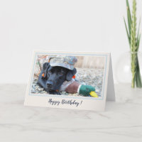 Happy Birthday Black Labrador Cute Duck Dog
