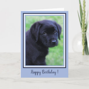 Happy Birthday Black Labrador Puppy Blue Cute Dog Thank You Card