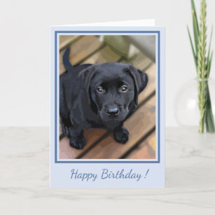 Happy Birthday Black Labrador Puppy- Blue Cute Dog Thank You Card