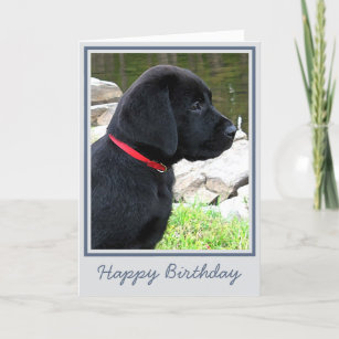 Happy Birthday Black Labrador Puppy - Cute Dog Card