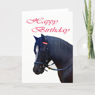 Happy Birthday , Black Welsh Pony. Card