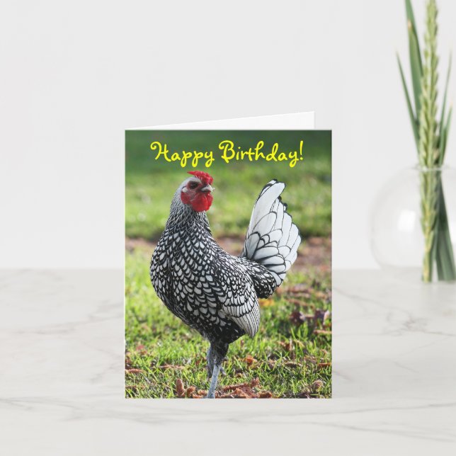 Happy Birthday, Blank Card (Front)