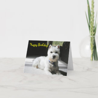 Happy Birthday, Blank, Mini Schnauzer Card