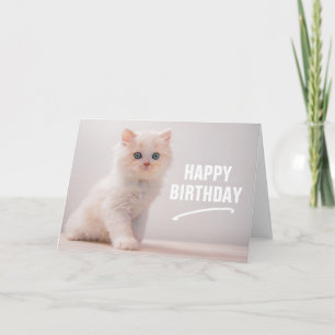 Happy Birthday Blue Eye Kitten Card