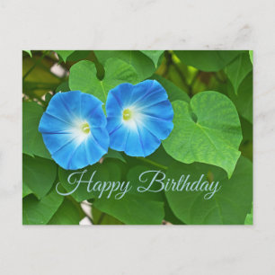Happy Birthday Blue Morning Glory Flowers Postcard