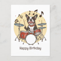 Happy Birthday Boston Terrier Dog Playing Drums