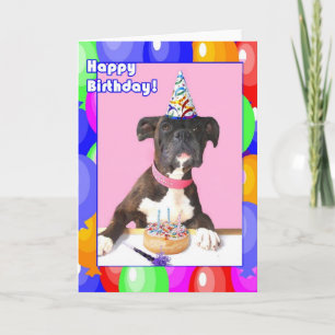 Happy Birthday Boxer dog greeting card