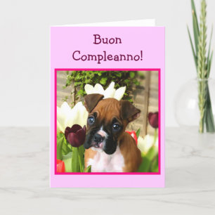 Happy Birthday boxer dog greeting card