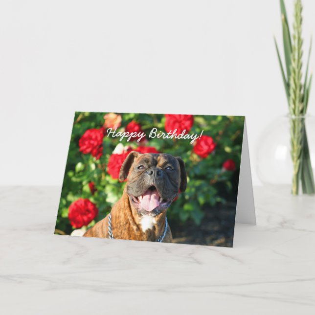 Happy Birthday Boxer dog greeting card (Front)