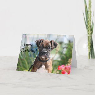 Happy Birthday Boxer Greeting card