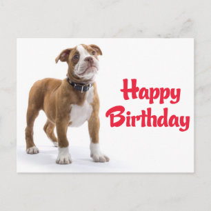 Happy Birthday Boxer Puppy Dog Postard Postcard