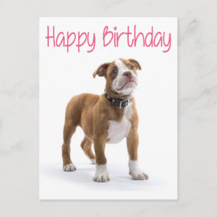 Happy Birthday Boxer Puppy Dog Postard Postcard