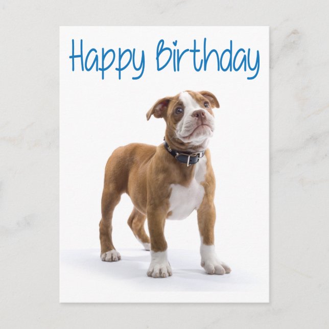 Happy Birthday Boxer Puppy Dog  Postard Postcard (Front)
