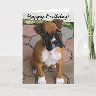 Happy Birthday Boxer puppy greeting card