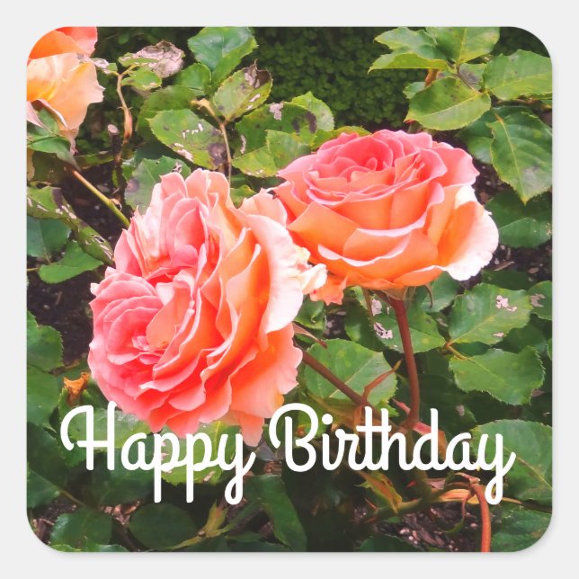 Happy Birthday Brass Band Rose #1-2 Stickers (Front)