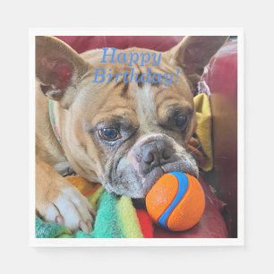 Happy Birthday Brindle Boston Terrier Napkin
