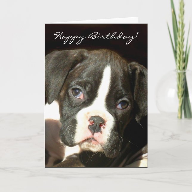 Happy Birthday Brindle boxer puppy greeting card (Front)
